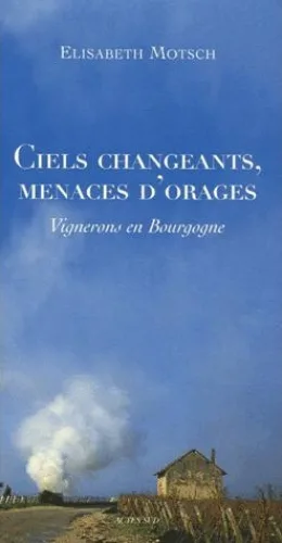 Elisabteh Motsch ciels changeants menaces d'orages